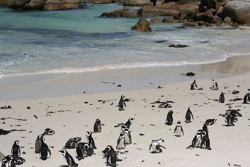 Cape Town
