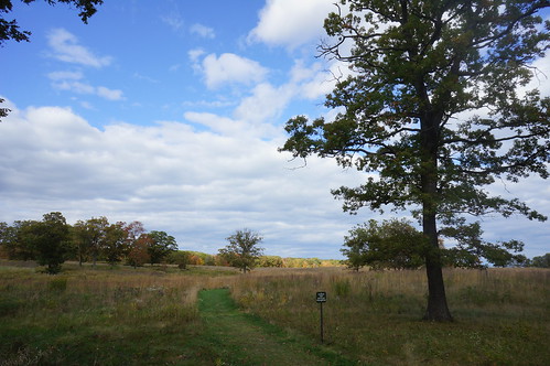 An outdoor shot of For Sheridan Forest Preserve