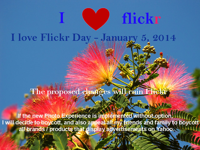 I love Flickr