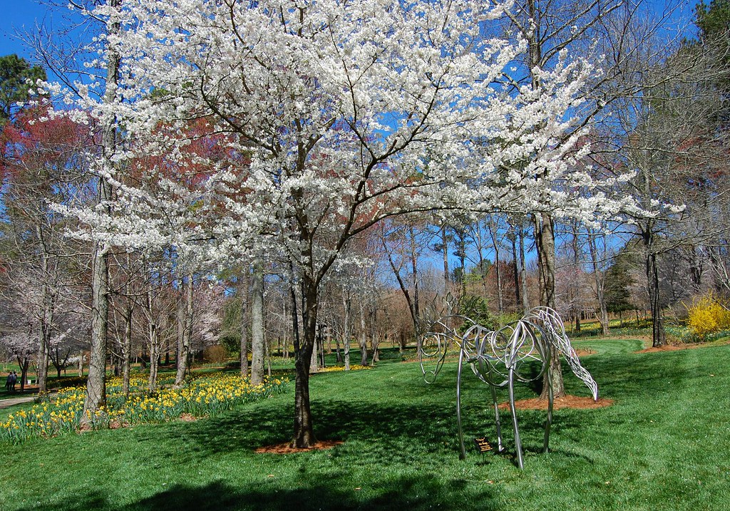 Springtime at Georgia's Gibbs Gardens