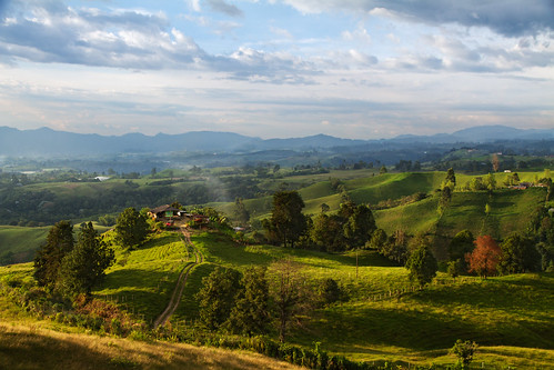 colombia filandia landscape