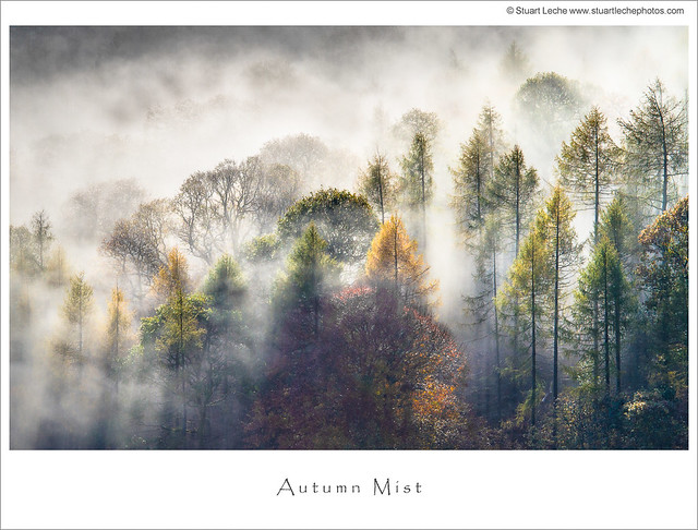 Autumn Mist 3