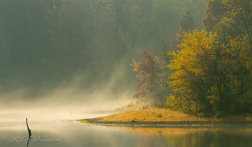 wood autumn trees nature water leaves fog canon landscape outdoors morninglight pond october cloudy overcast 7d cloudysky buschwildlife canon300mmf4l canon7d