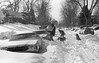 A man carries logs, others shovel snow near 2377 Elm Street in the South Park Hill neighborhood of Denver, Colorado after the 1982 snowstorm. (Denver Public Library Digital Collection)