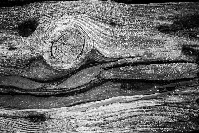Weathered wood at Felixstowe #5