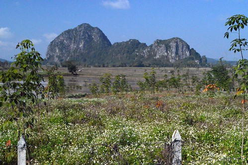 thailand hill rubber plantation limestone geology agriculture karst chiangrai