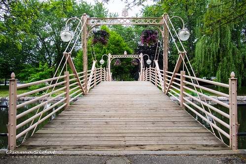 A Bridge in Victoria Park