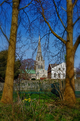 trees sussex cathedral chichester jainbow