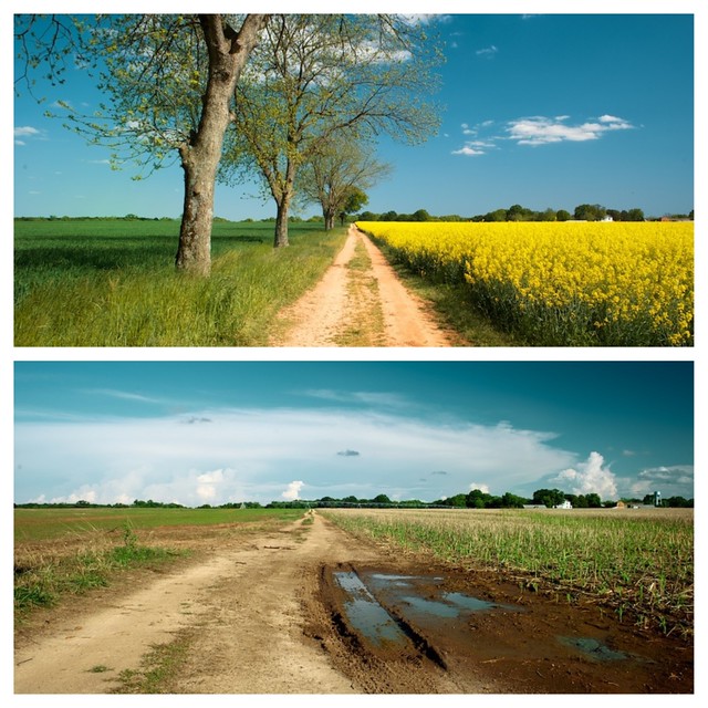 Country Road, Before & After
