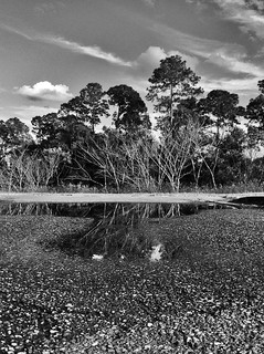 Post Rain, Late January Afternoon (Black & White version)