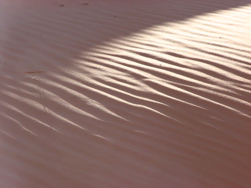 Sand Dunes 037 | by Chandler West