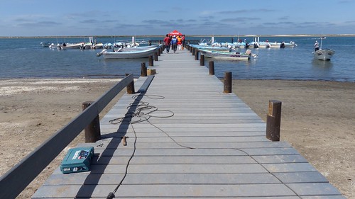 Baja California 2014 | by hillie1947