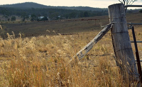 fence landscape countryside gate post barbedwire drygrass rhodesgrass ruralaustralia rurallandscape albertvalley