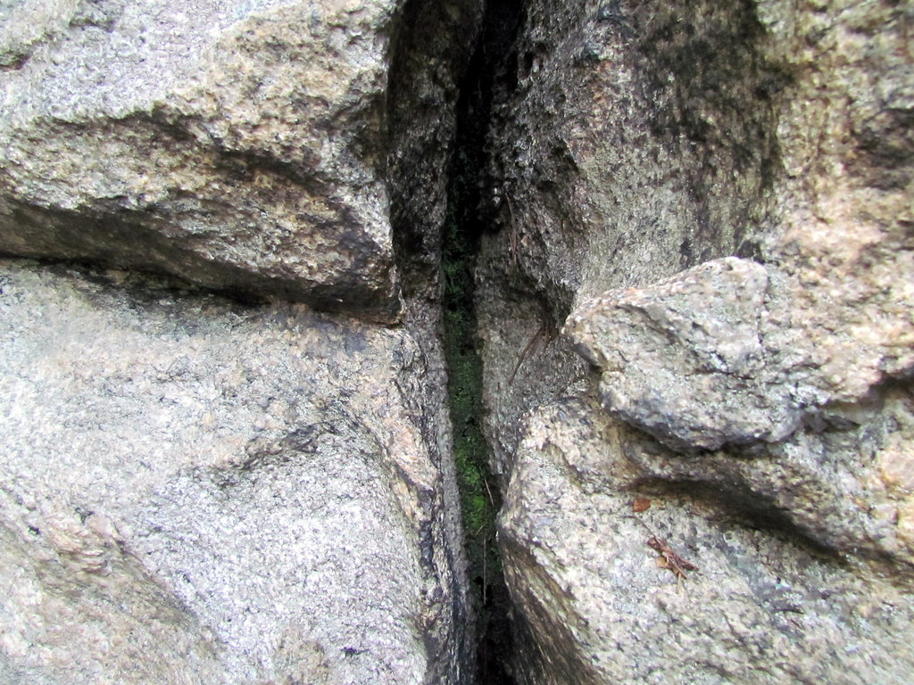 Tail of the Cat Area