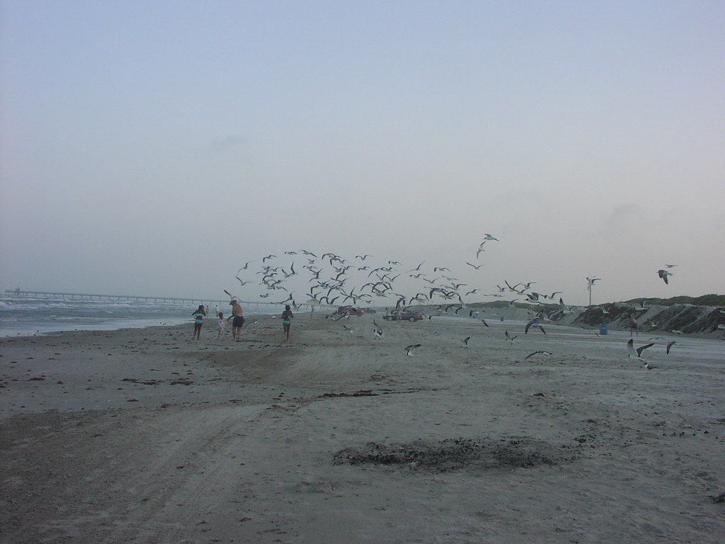 P1010066 | OLYMPUS DIGITAL CAMERA | jeff patterson | Flickr