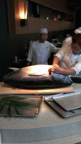 Blue Fin Tuna @ Tomo Japanese Restaurant | by Cliff Sinon 30329