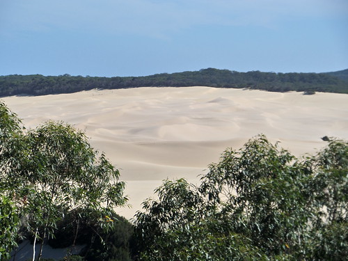 Sanddüne auf Fraser | by vomkiezumdiewelt