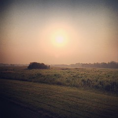 #hazy landscape, seen on a nice #morning run