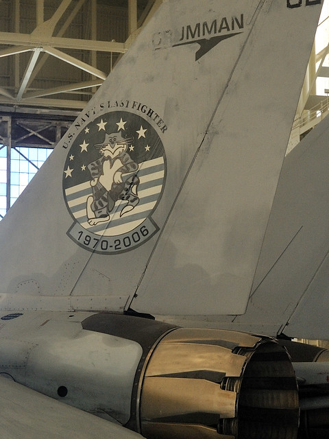 F-14D - Last Cat Standing, Baby!