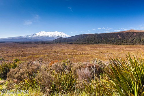 20121231  Blog NZ - Tongariro National Park