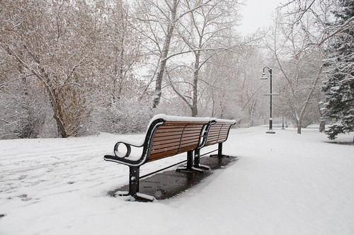 winter snow canada bench canadawinter canadianwinter albertasnow
