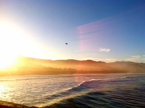 Sun comes up by eviloars, Waves come in, tides go out, fog comes in, bird goes out.ocean california morning sunrise bay coast 