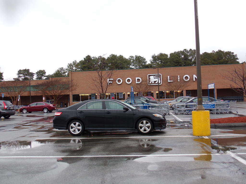 food lion salisbury maryland