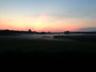 Fog over fields