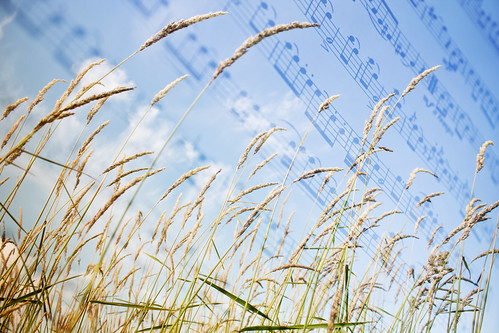 two sky music plant field grass vent notes wind song farm windy overlay note sing breeze musique feild breezey