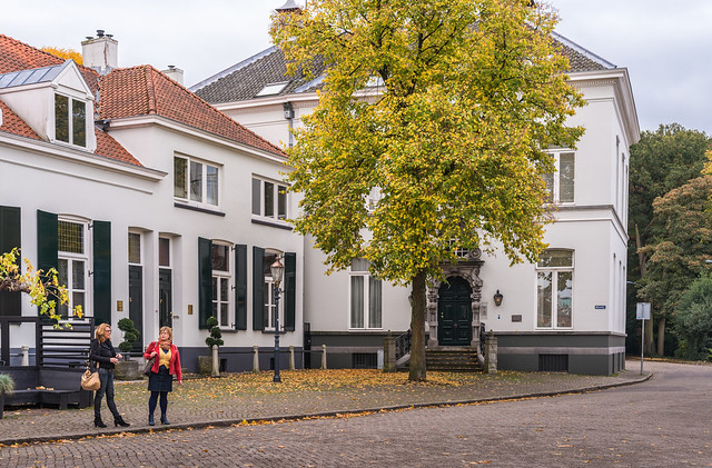 Historic Dutch street in autumn