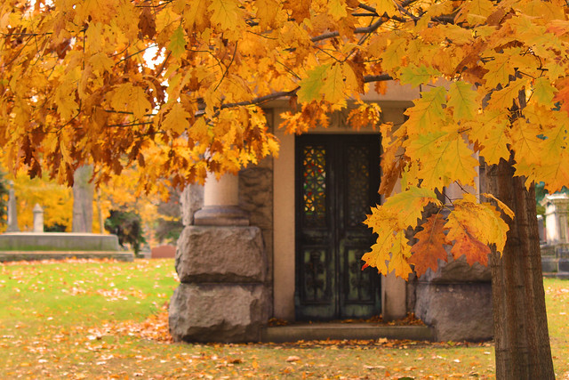 Autumn Scene, Erie Pa