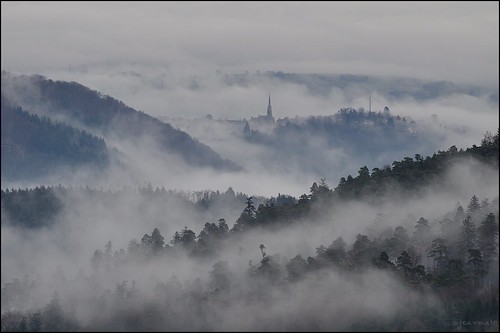 mist mountain nature forest montagne landscape nikon alsace tamron paysages brouillard vosges brume d90 foréts sp70300divcusd