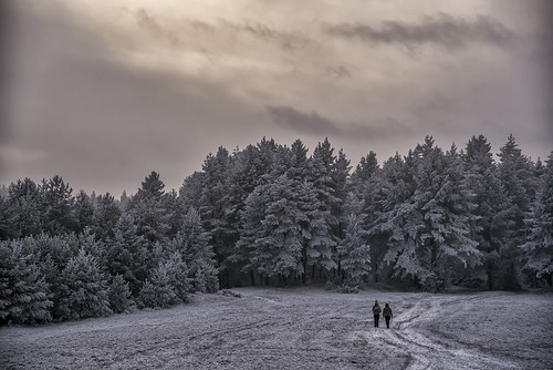 people walk girls winter mood frost frozen snow sunset forest tree trees sky clouds dramatic landscape outdoor dark