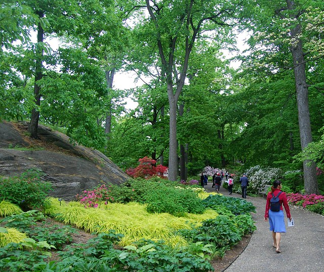 The New Azalea Garden at the New York Botanical Garden