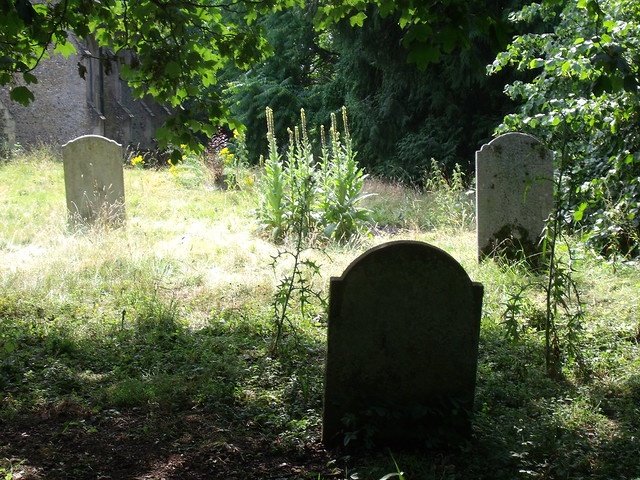 Graves in sunshine and shade