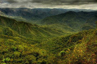 Mata Atlântica :: Serra da Gandarela - Atlantic forest | by Frederico Pereira PhotoNatural