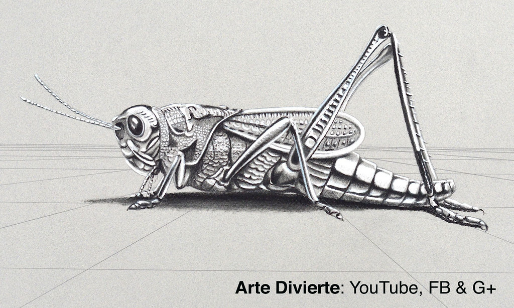 Cómo dibujar un Chapulín en 3D - Saltamontes metálico - Gr… | Flickr