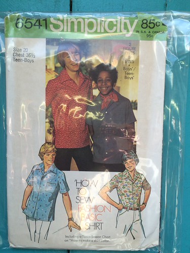 Simplicity 6541 | by kittee