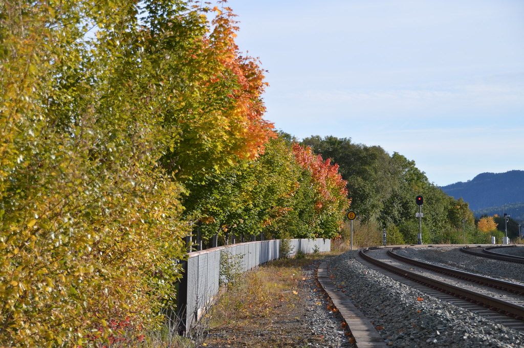 Trackside autumn colors
