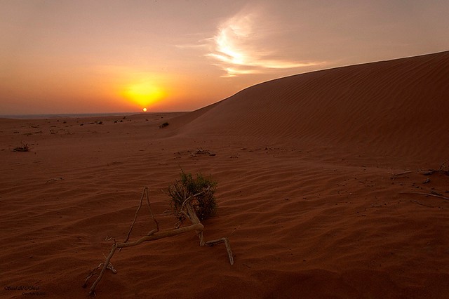Saudi desert