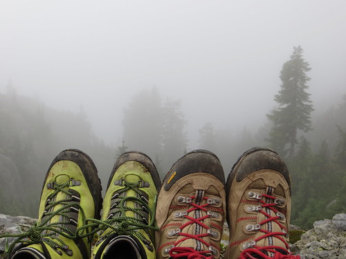 ca trees red canada green fog forest interesting kiss rocks bc view boots hiking britishcolumbia mtseymour unnusual