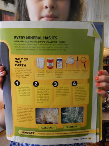 Homemade Salt Rocks Lesson 25 - 28 Science | Flickr