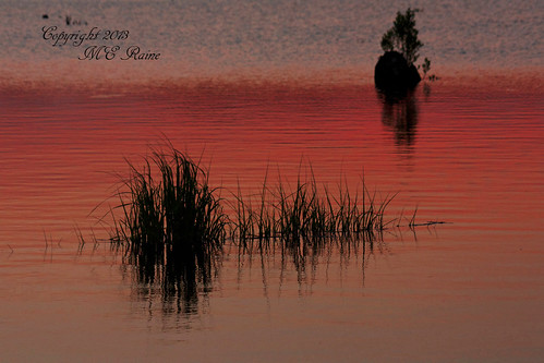 sunset nature creek twilight dusk meadowlands “golden marsh” “magic flats” “mill nj” hour” “mud “secaucus
