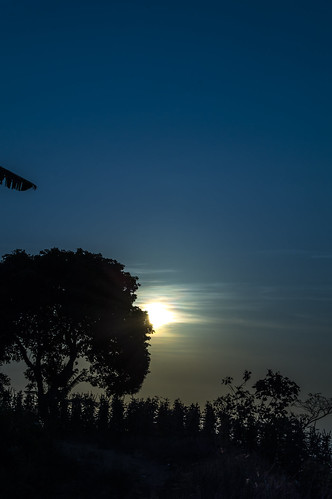 ohayo by Bramantiyo Marjuki, its been 8 years, and it still there morning shadow sky tree silhouette sunrise nikon vegetation d32