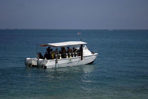 Barca diving