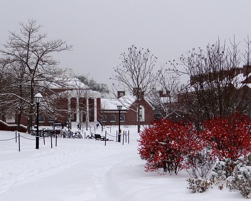 UD's Memorial Hall in Snow w/ red bush