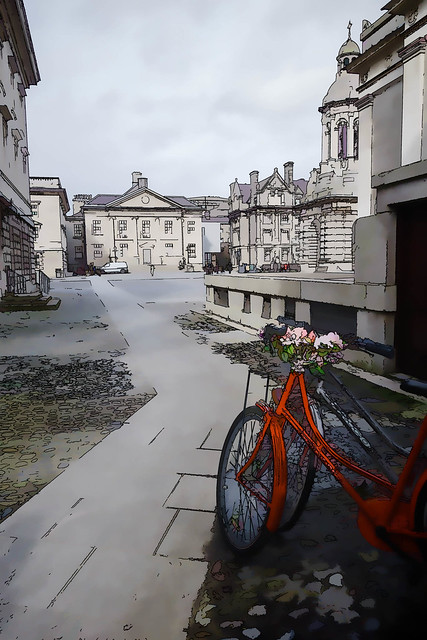 Red Bicycle Trinity College