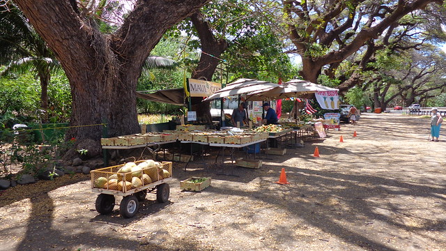 Fresh fruit at Olowalu fruit stand Maui, Hawaii.
