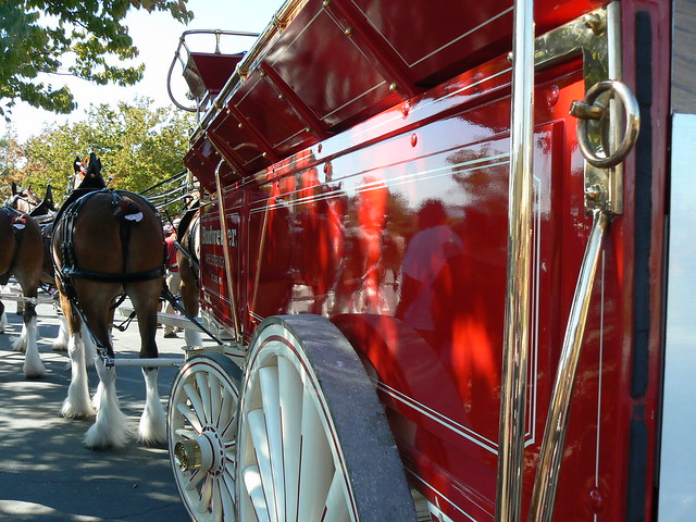 The Budweiser Carriage