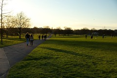 Regent's Park - Regent's Park